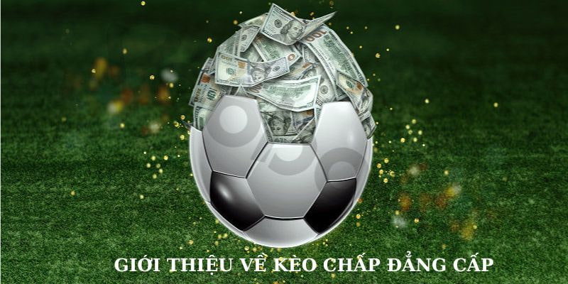 Lợi Ích Khi Cá Cược Kèo Chấp Tại Net88